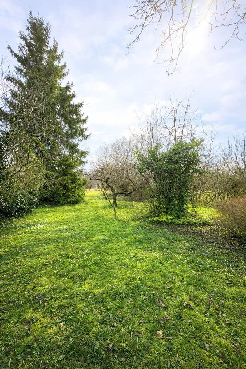 Haus kaufen in Baden – 233 m², € 650.000 – Bild 5 von 16