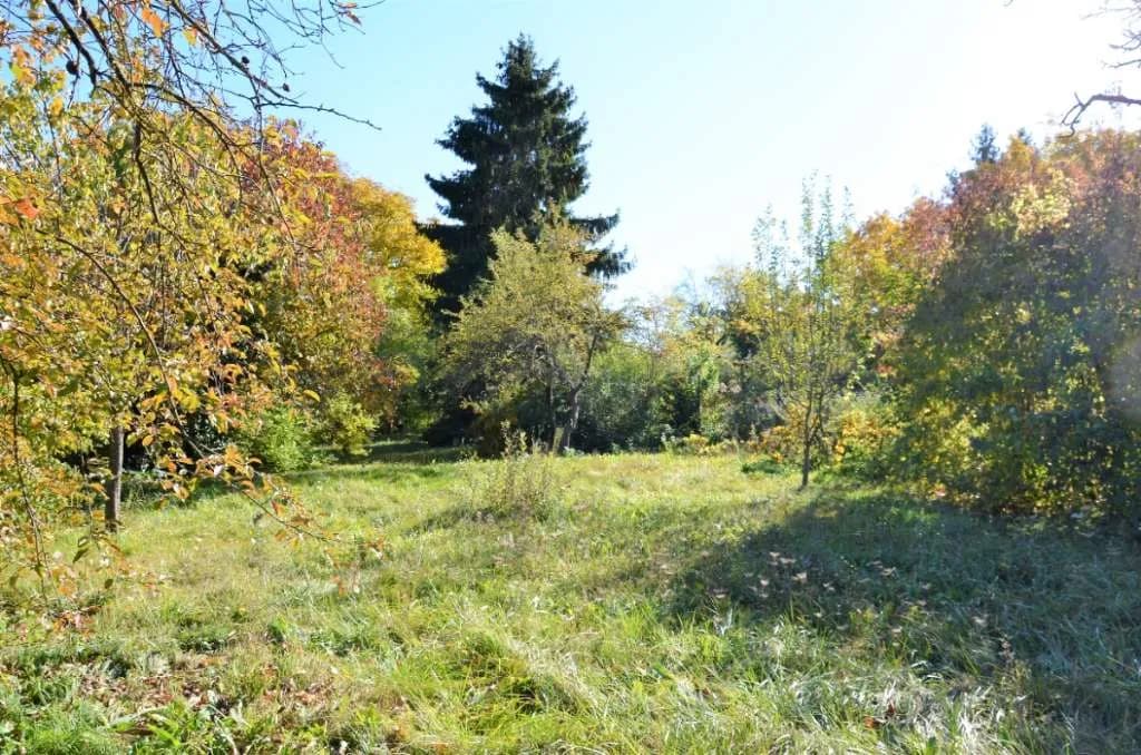 Haus kaufen in Baden – 233 m², € 650.000 – Bild 14 von 16
