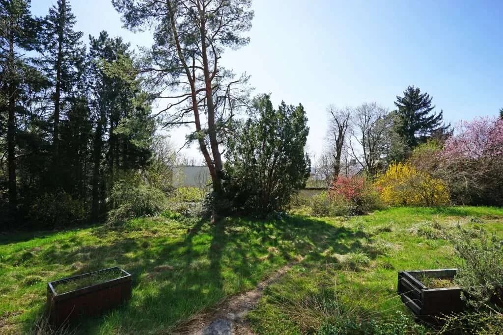 Grundstück kaufen in Wien – 1 514 m², € 1.980.000 – Bild 8 von 11
