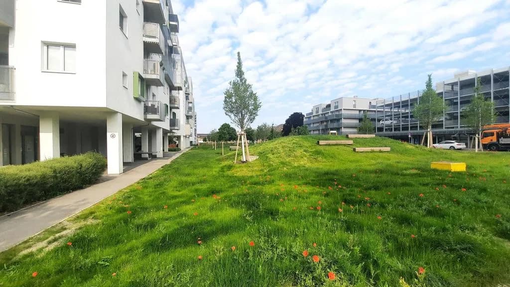1-Zimmer-Wohnung mieten in Wien – 16,02 m², € 484 – Bild 5 von 12