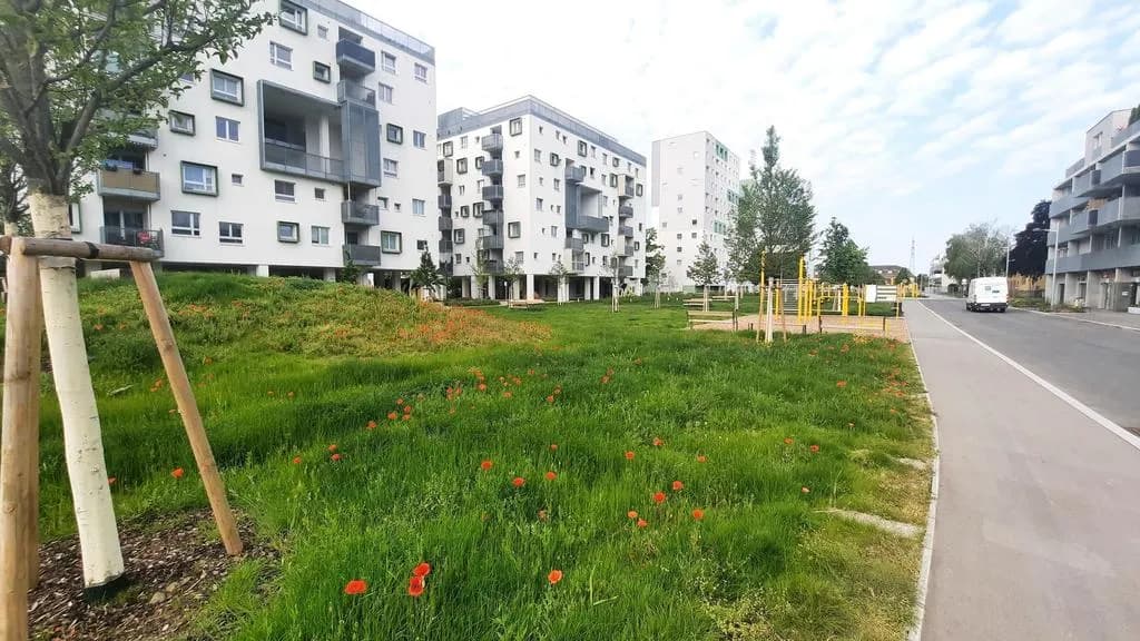 1-Zimmer-Wohnung mieten in Wien – 12,5 m², € 576 – Bild 3 von 15
