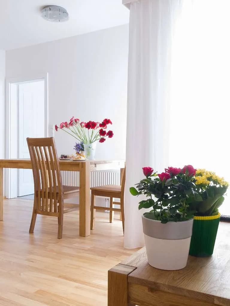 2-Zimmer-Wohnung mieten in Baden – 50 m², € 520