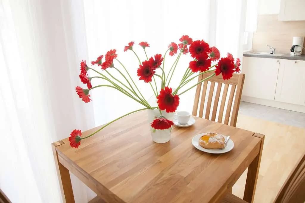 2-Zimmer-Wohnung mieten in Baden – 50 m², € 520 – Bild 5 von 11