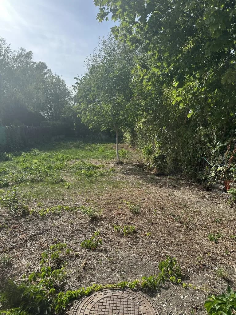 Grundstück kaufen in Eisenstadt - Umgebung – 419 m² – Bild 1 von 3