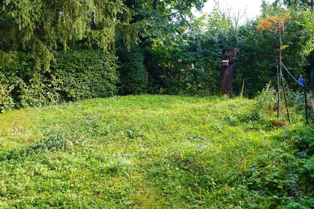 4-Zimmer-Haus kaufen in Wien – 100 m², € 539.000 – Bild 22 von 37