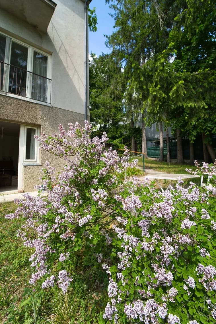 4-Zimmer-Haus kaufen in Wien – 100 m², € 539.000 – Bild 24 von 37