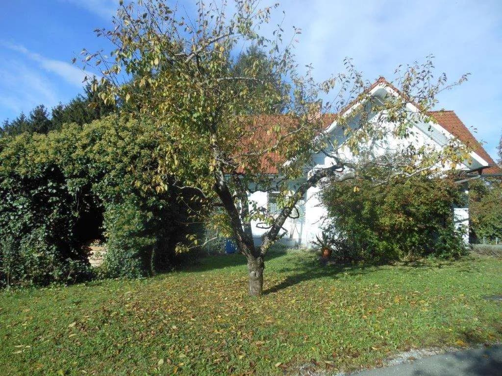 2-Zimmer-Haus mieten in Weiz – 62,23 m², € 990 – Bild 9 von 36