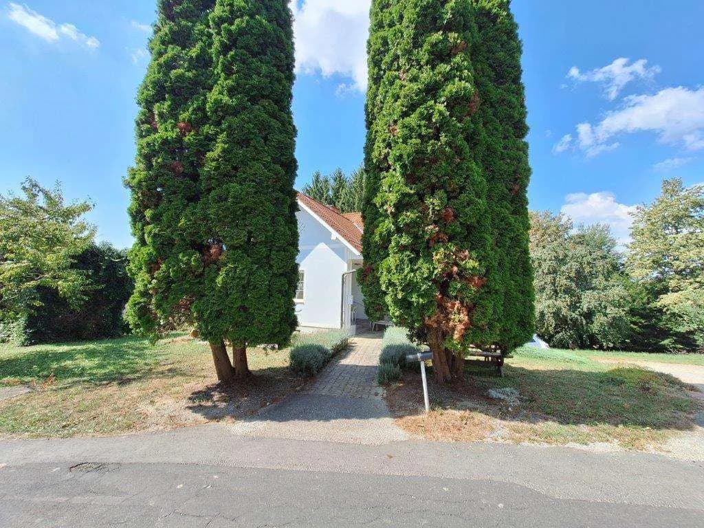 2-Zimmer-Haus mieten in Weiz – 62,23 m², € 990 – Bild 11 von 36
