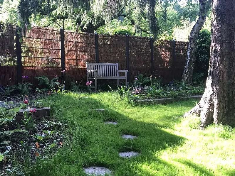 1-Zimmer-Wohnung mieten in Sankt Pölten Land – 18 m², € 275 – Bild 17 von 28