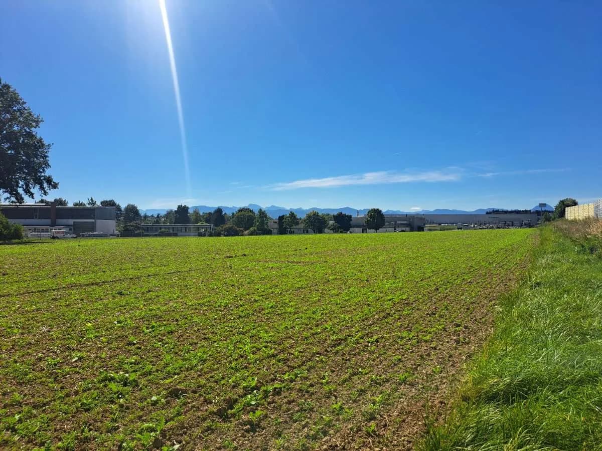 Immobilie mieten in Wels-Land – 15 500 m², € 11.625 – Bild 3 von 7
