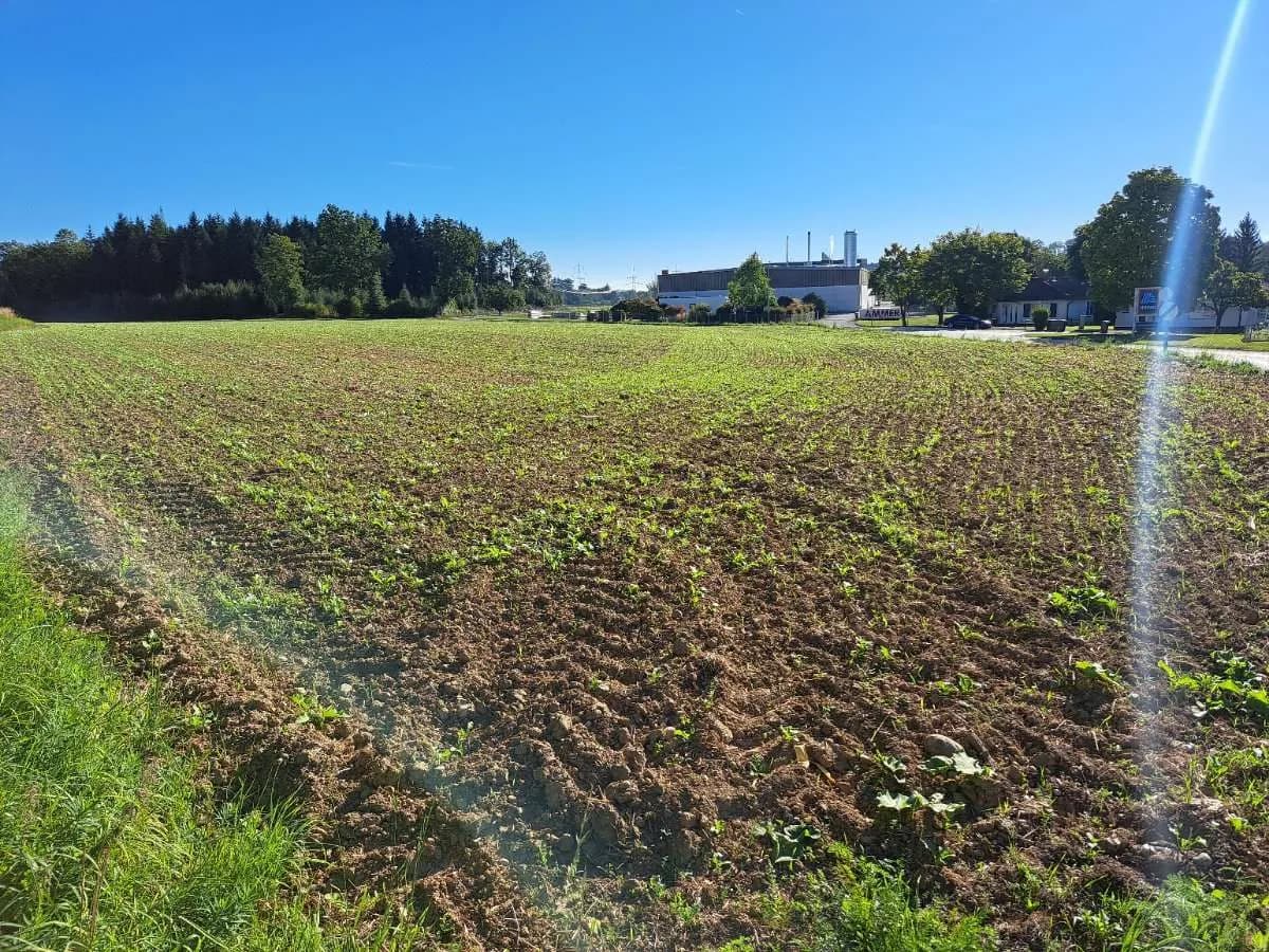 Immobilie mieten in Wels-Land – 15 500 m², € 11.625 – Bild 4 von 7