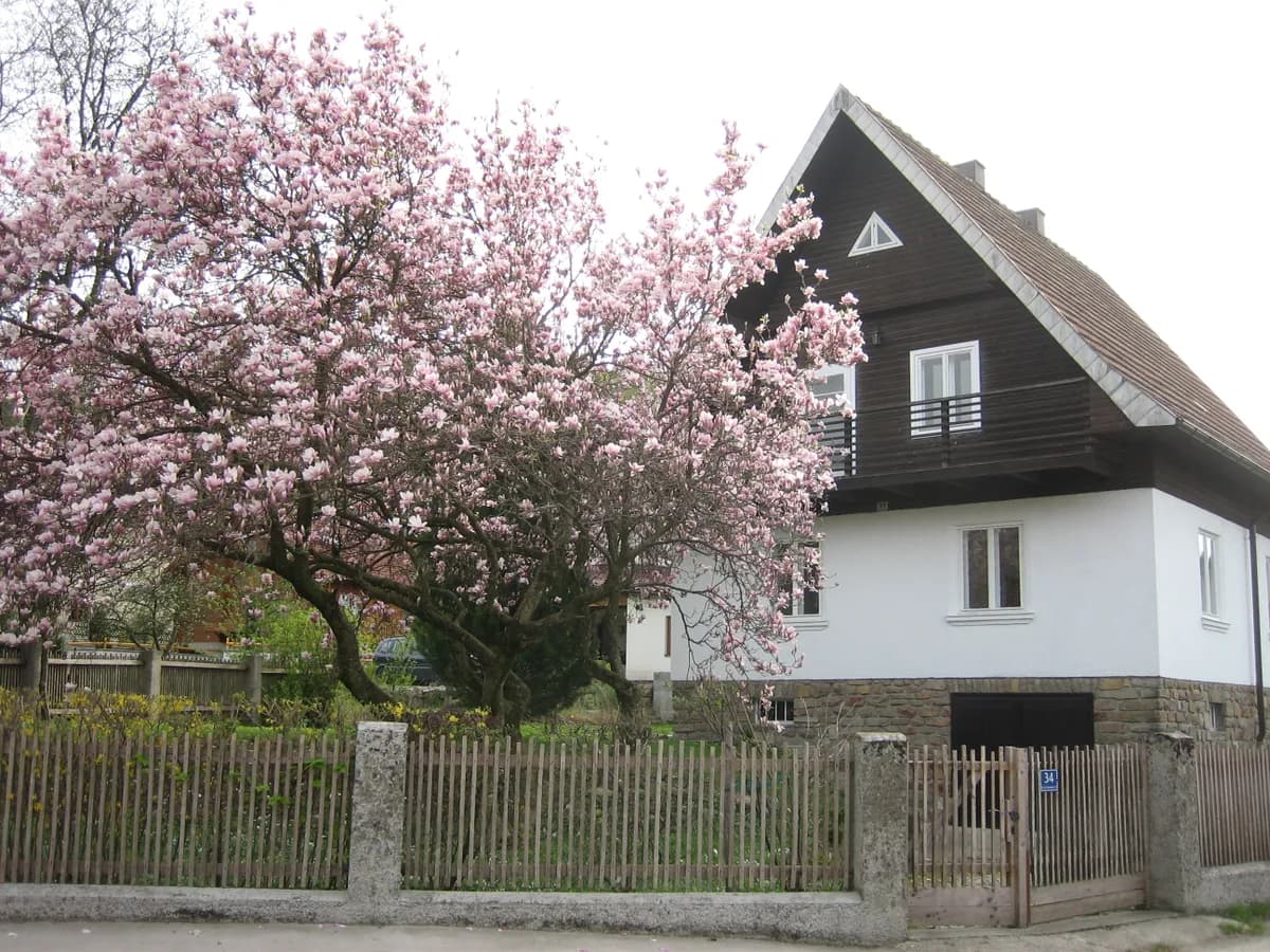 5-Zimmer-Haus mieten in Sankt Pölten Land – 117 m², € 1.500