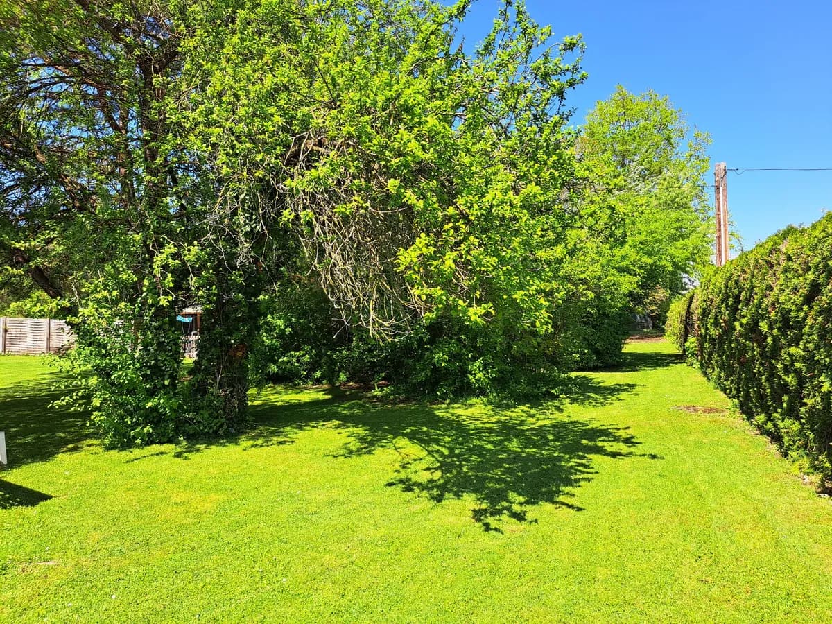 Grundstück mieten in Wels – 2 800 m², € 2.450 – Bild 11 von 14