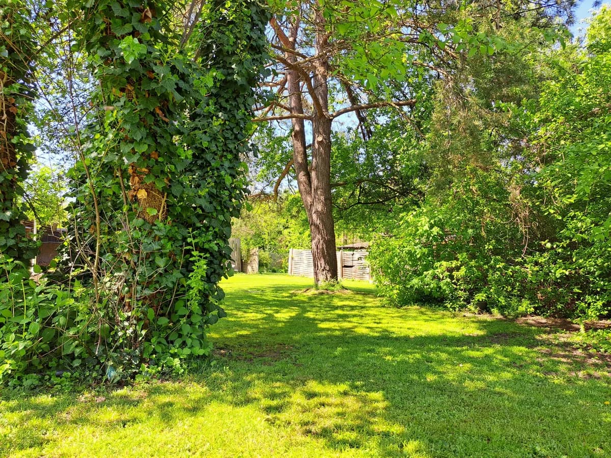 Grundstück mieten in Wels – 2 800 m², € 2.450 – Bild 12 von 14