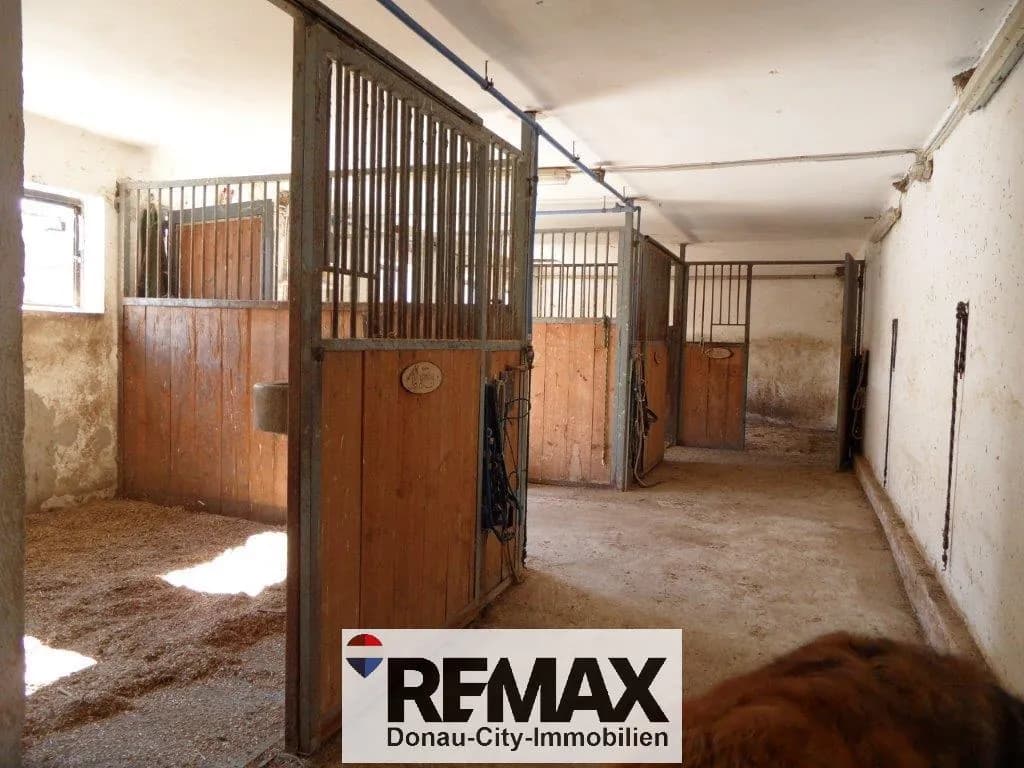 Grundstück kaufen in Baden – 6 876 m² – Bild 8 von 23