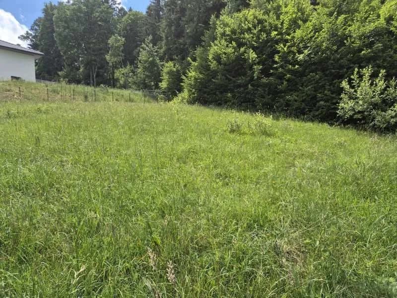 Grundstück kaufen in Lilienfeld – 758 m², € 93.000