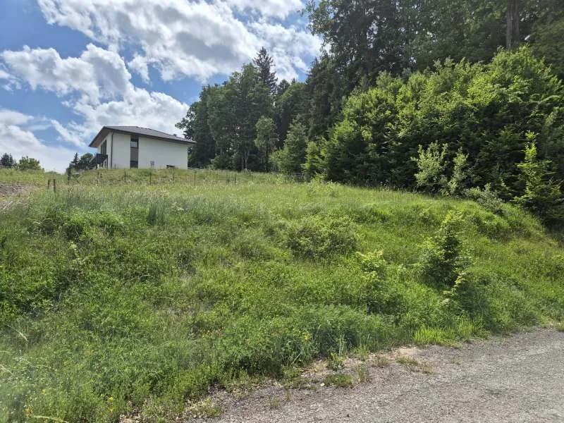 Grundstück kaufen in Lilienfeld – 758 m², € 93.000 – Bild 2 von 6