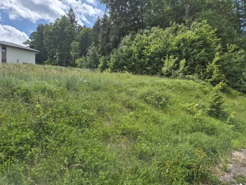 Grundstück kaufen in Lilienfeld – 758 m², € 93.000 – Bild 3 von 6
