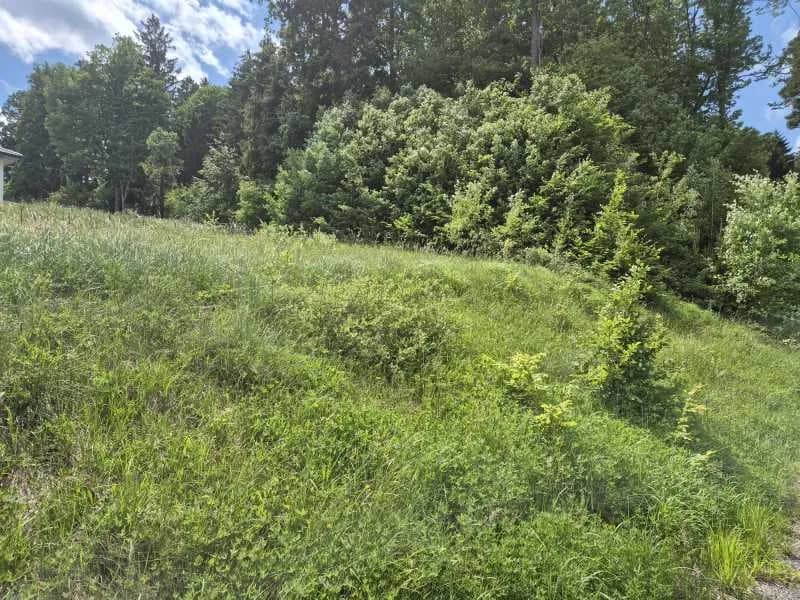 Grundstück kaufen in Lilienfeld – 758 m², € 93.000 – Bild 4 von 6