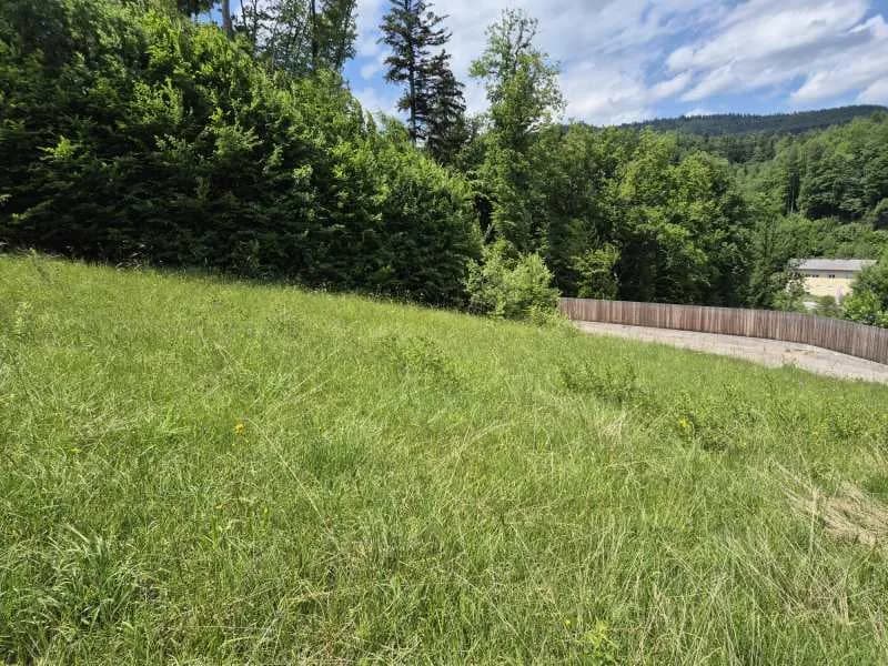 Grundstück kaufen in Lilienfeld – 758 m², € 93.000 – Bild 5 von 6