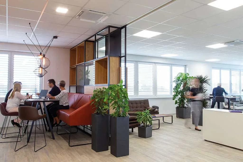 Gewerbeimmobilie mieten in Wels-Land – 50 m² – Bild 8 von 13
