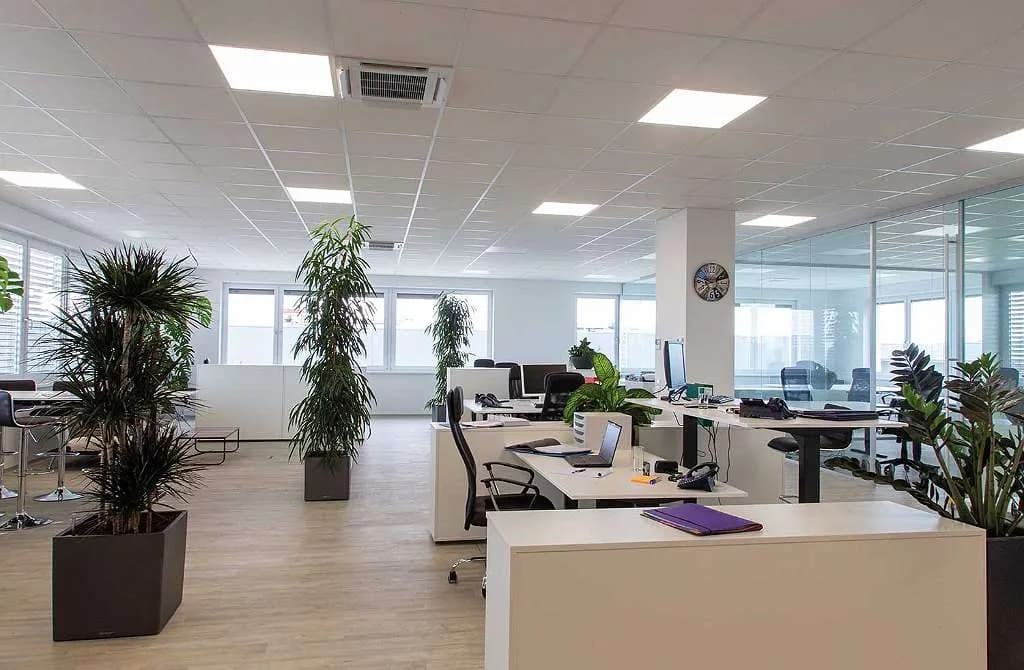 Gewerbeimmobilie mieten in Wels-Land – 50 m² – Bild 10 von 13