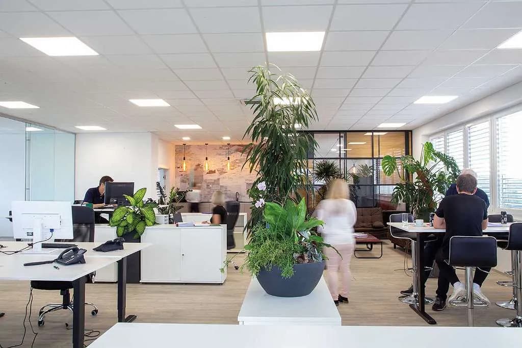 Gewerbeimmobilie mieten in Wels-Land – 50 m² – Bild 13 von 13