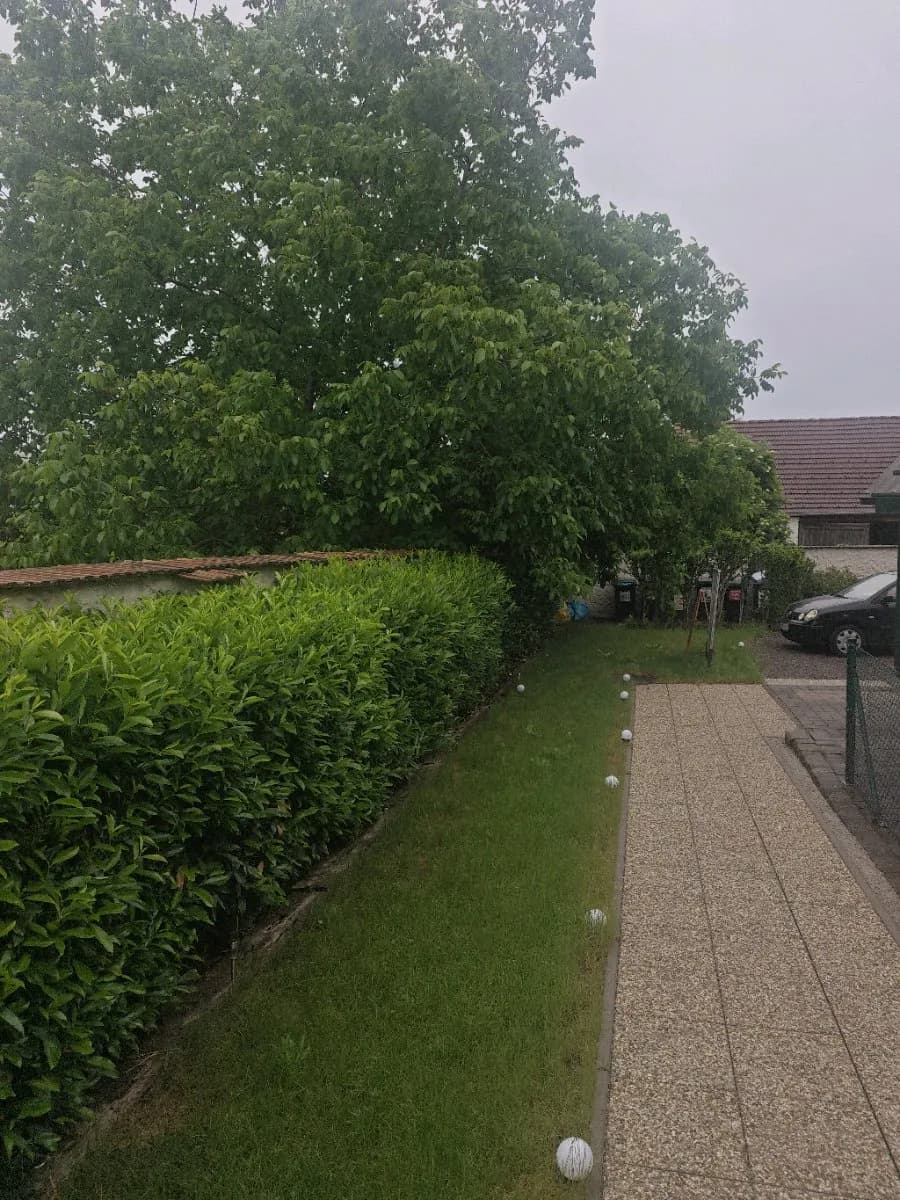 5-Zimmer-Gewerbeimmobilie mieten in Wiener Neustadt Land – 250 m², € 1.680 – Bild 10 von 18