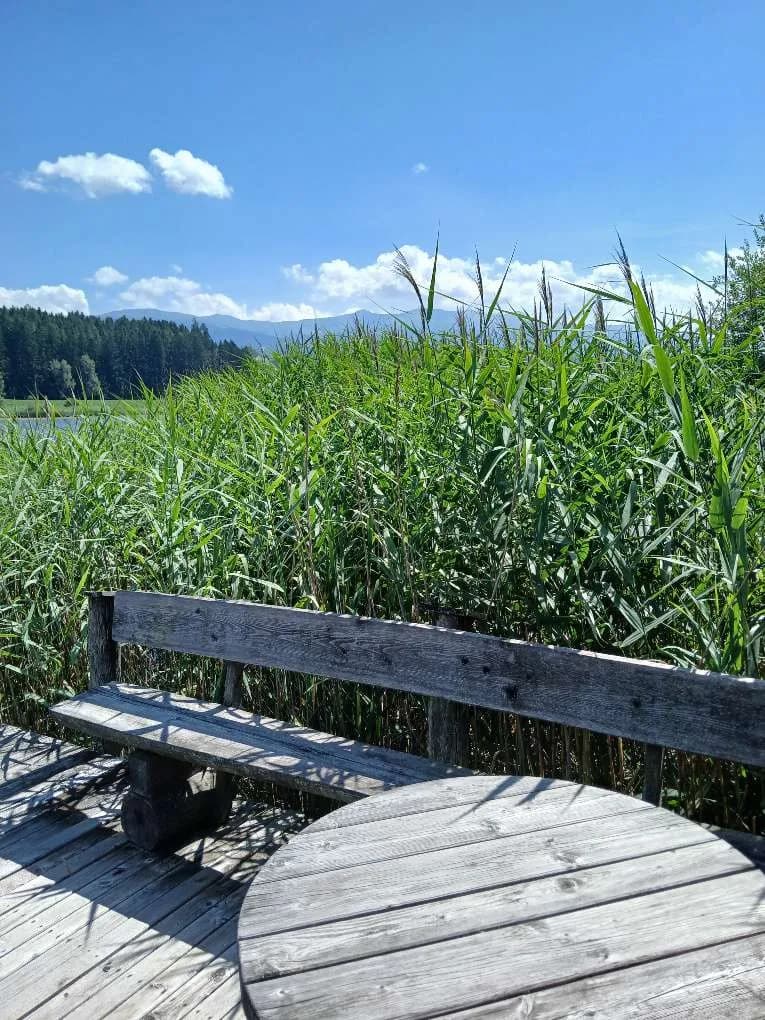 1-Zimmer-Wohnung kaufen in Murau – 26 m², € 425.000 – Bild 16 von 31