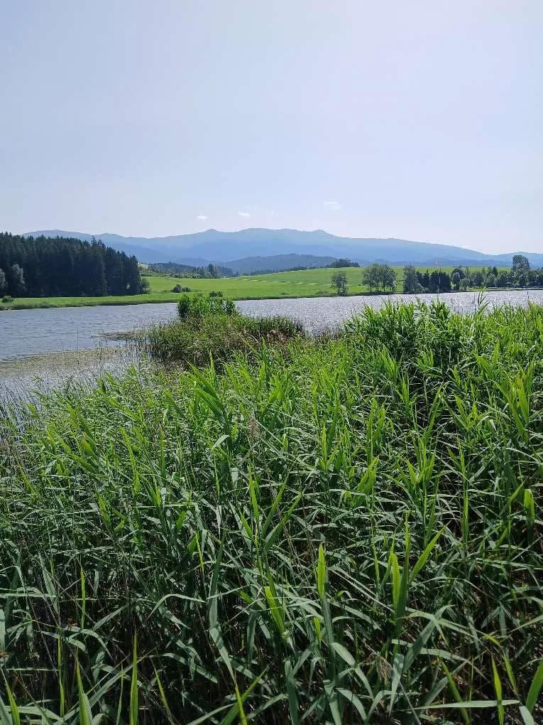 1-Zimmer-Wohnung kaufen in Murau – 26 m², € 425.000 – Bild 20 von 31