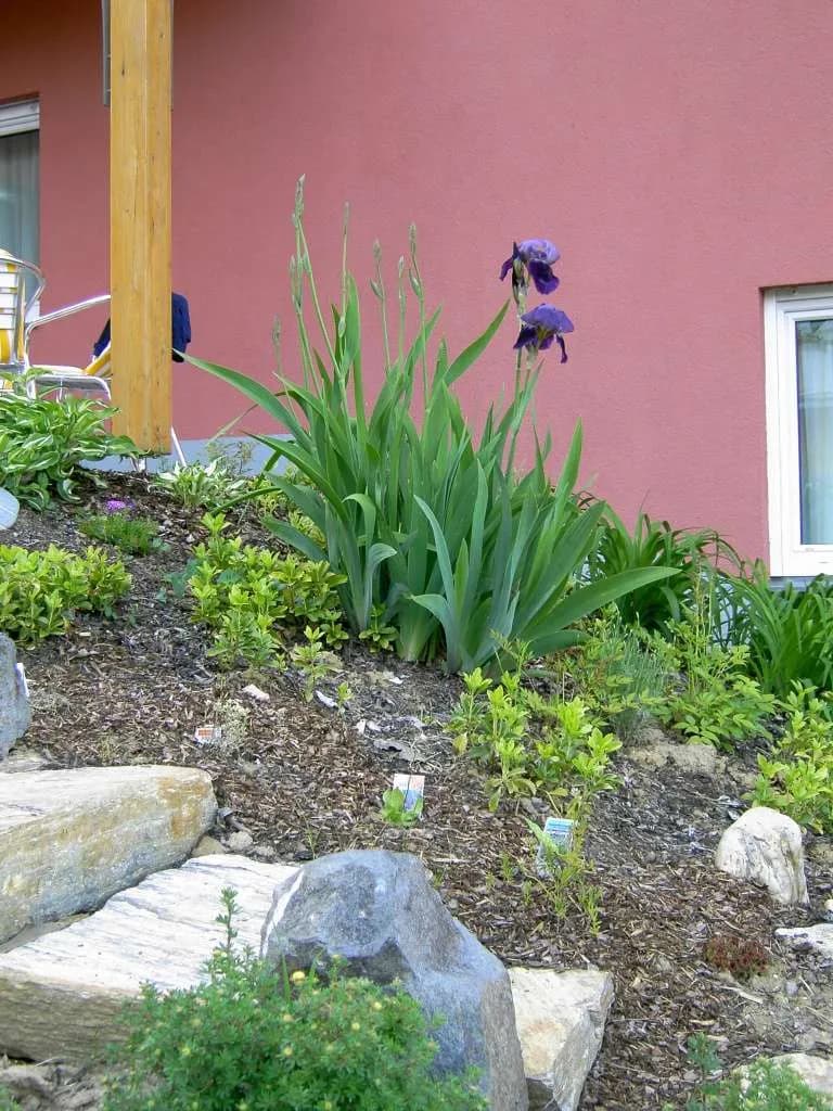 2-Zimmer-Wohnung mieten in Jennersdorf – 43 m², € 490 – Bild 5 von 5