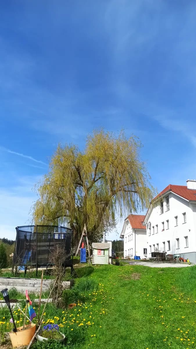 3-Zimmer-Wohnung mieten in Freistadt – 84 m², € 835