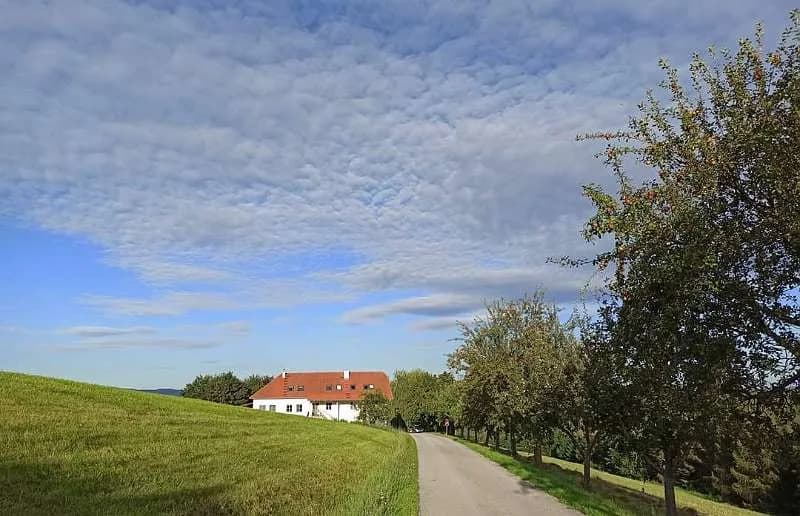 3-Zimmer-Wohnung mieten in Freistadt – 84 m², € 835 – Bild 9 von 16
