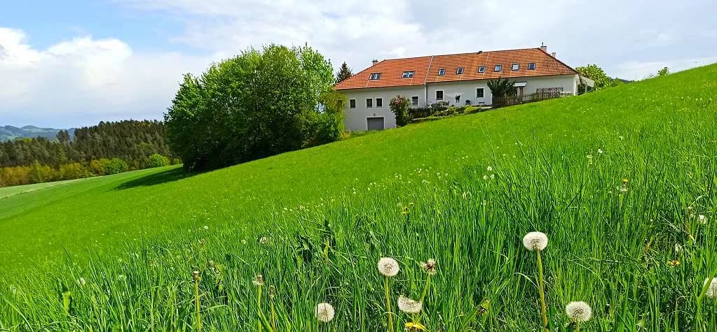 3-Zimmer-Wohnung mieten in Freistadt – 84 m², € 835 – Bild 13 von 16