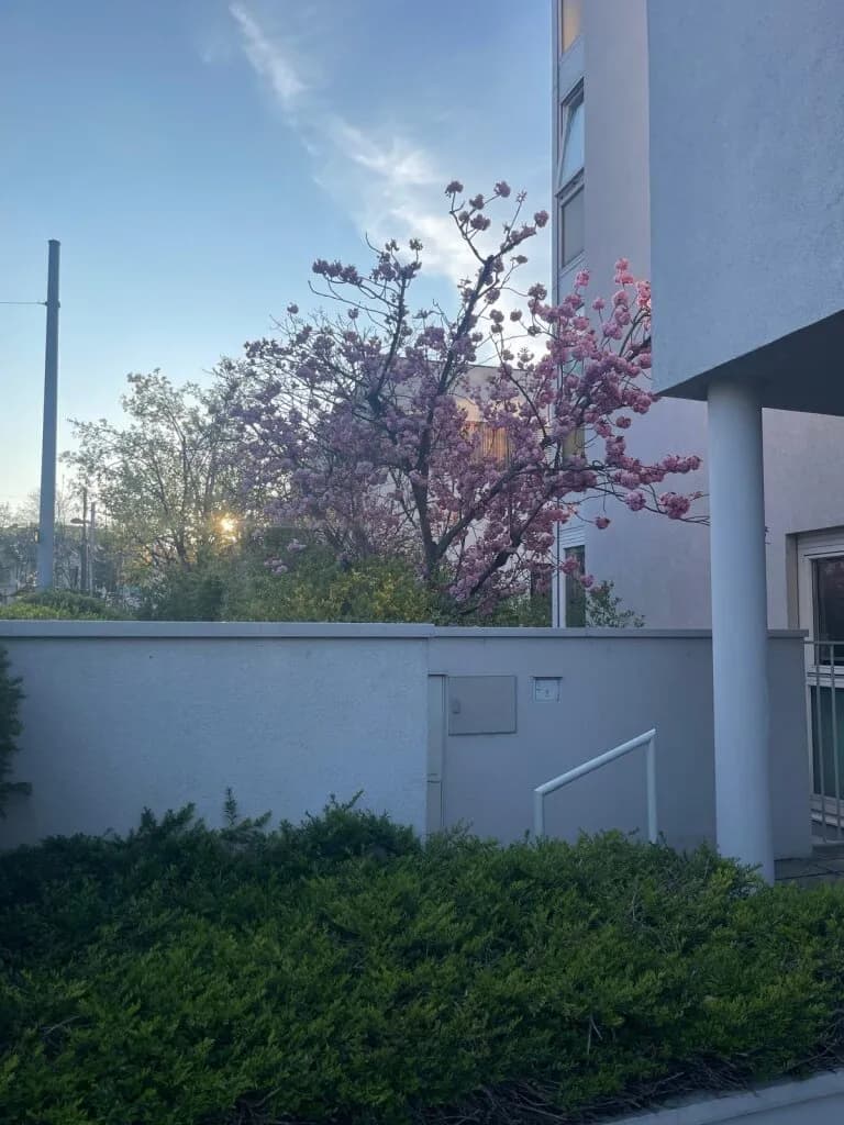 3-Zimmer-Wohnung mieten in Wien – 82 m², € 1.599 – Bild 5 von 34