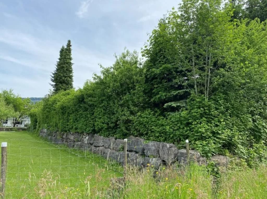 Grundstück kaufen in Bregenz – 2 227 m² – Bild 6 von 16