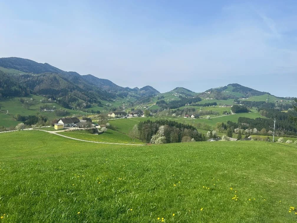 Haus mieten in Waidhofen an der Ybbs – 267 m², € 1.100 – Bild 26 von 27