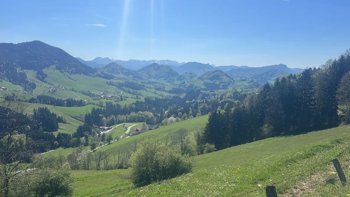Haus mieten in Waidhofen an der Ybbs – 267 m², € 1.100 – Bild 27 von 27