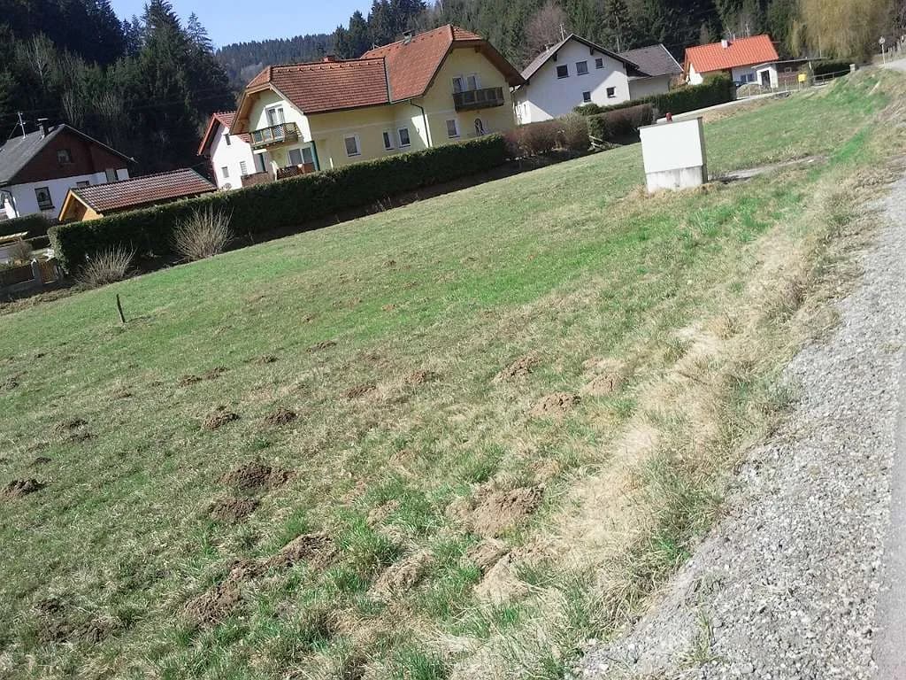 Grundstück kaufen in Wolfsberg – 1 274 m², € 53.000 – Bild 3 von 8