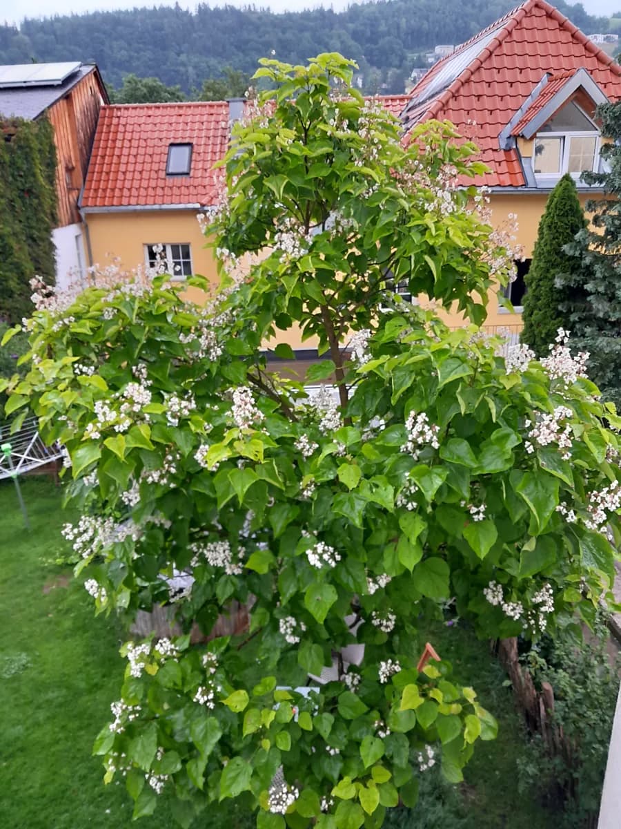 5-Zimmer-Wohnung kaufen in Waidhofen an der Ybbs – 175 m², € 490.000 – Bild 11 von 15