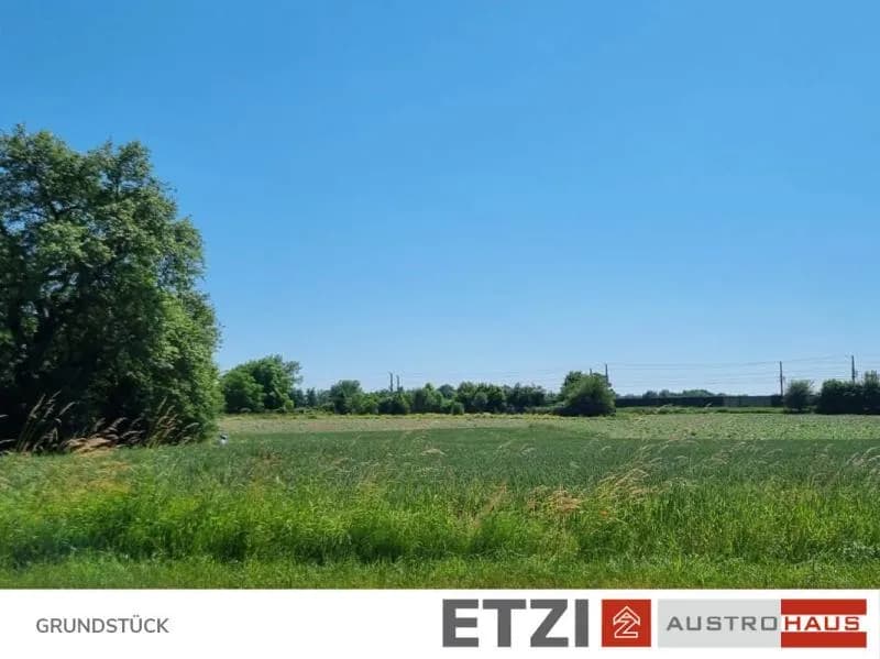 5-Zimmer-Haus kaufen in Schärding – 129,66 m², € 359.256 – Bild 6 von 11