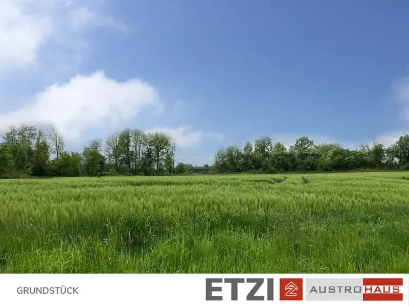 5-Zimmer-Haus kaufen in Schärding – 129,66 m², € 359.256 – Bild 8 von 11