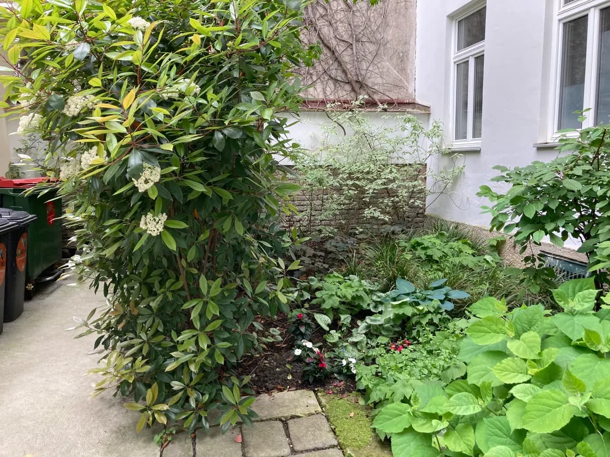 4-Zimmer-Wohnung mieten in Wien – 96 m², € 1.920 – Bild 24 von 26