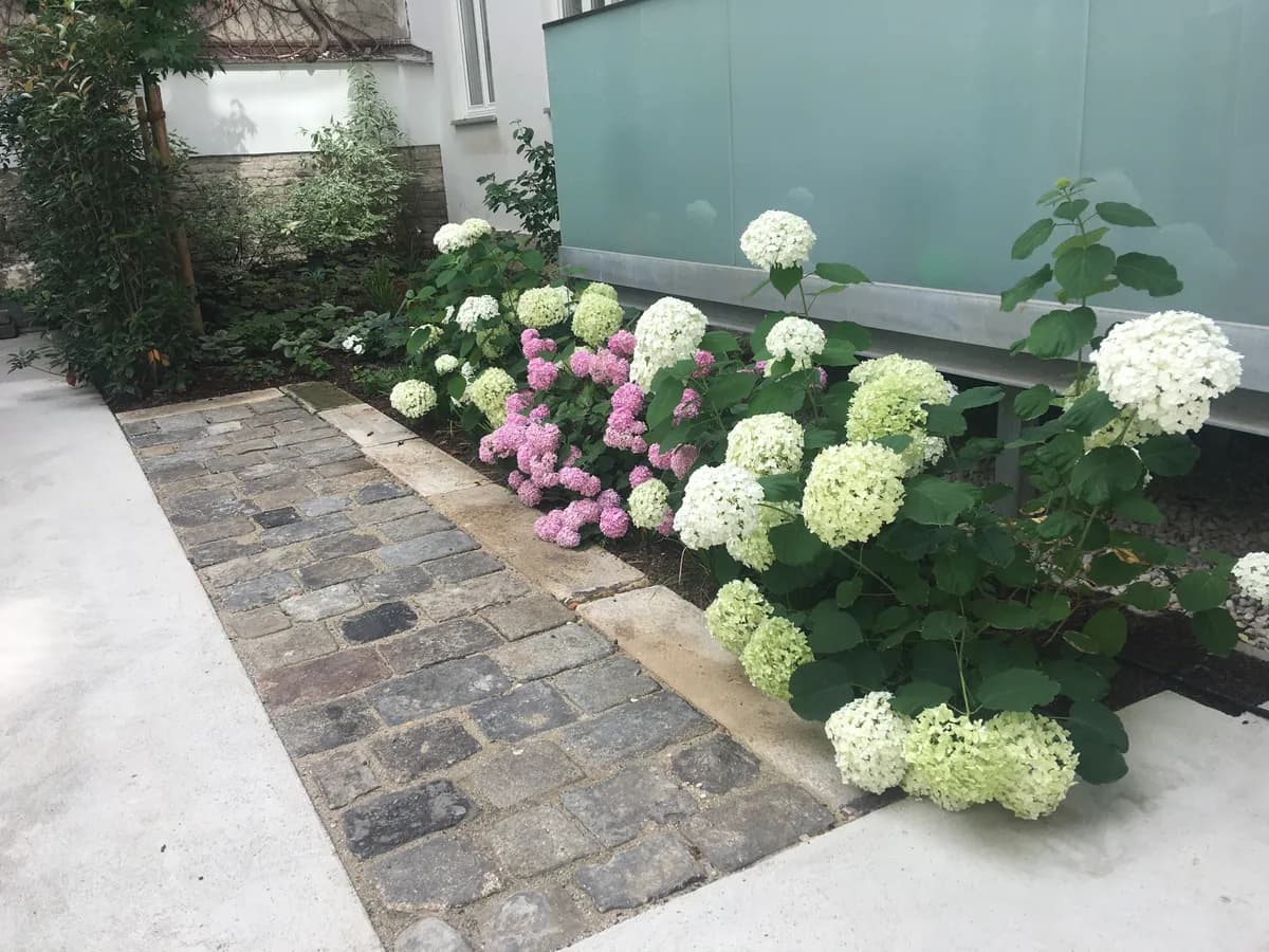 4-Zimmer-Wohnung mieten in Wien – 96 m², € 1.920 – Bild 26 von 26