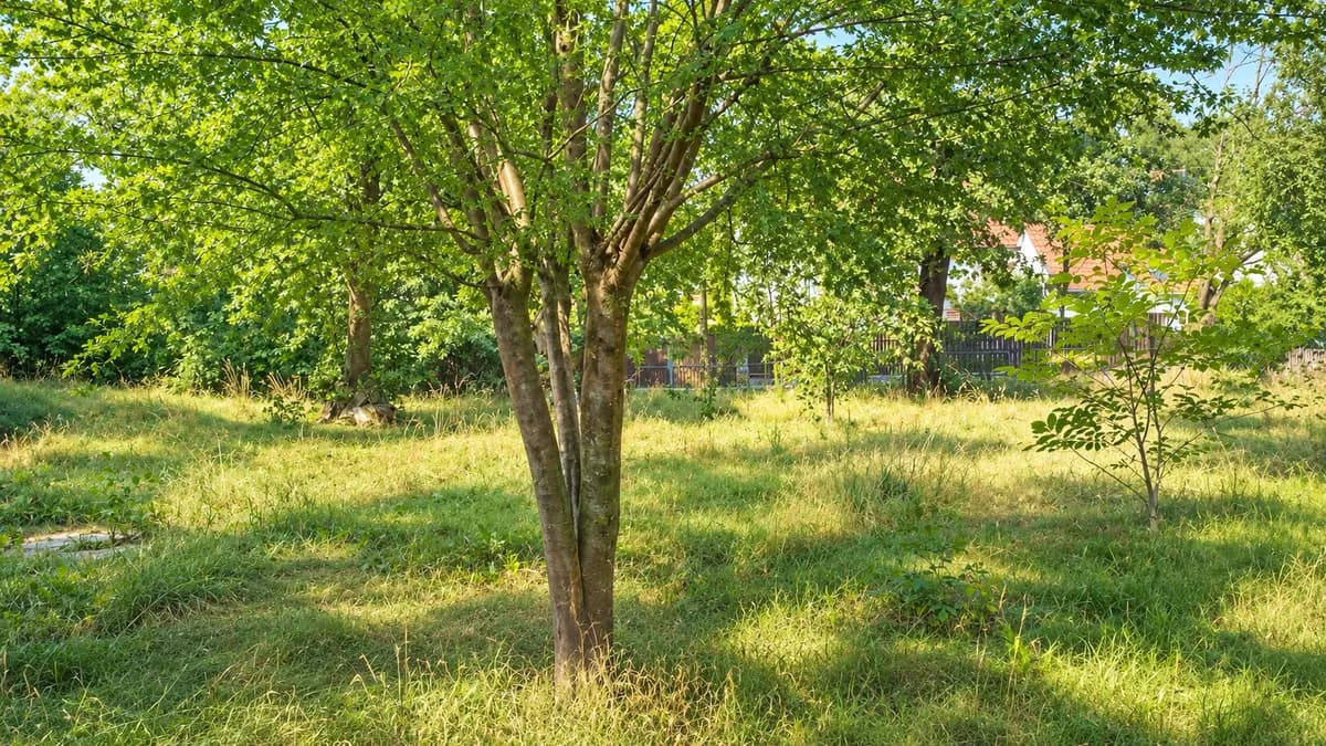 Grundstück kaufen in Graz – 1 790 m², € 790.000 – Bild 5 von 6