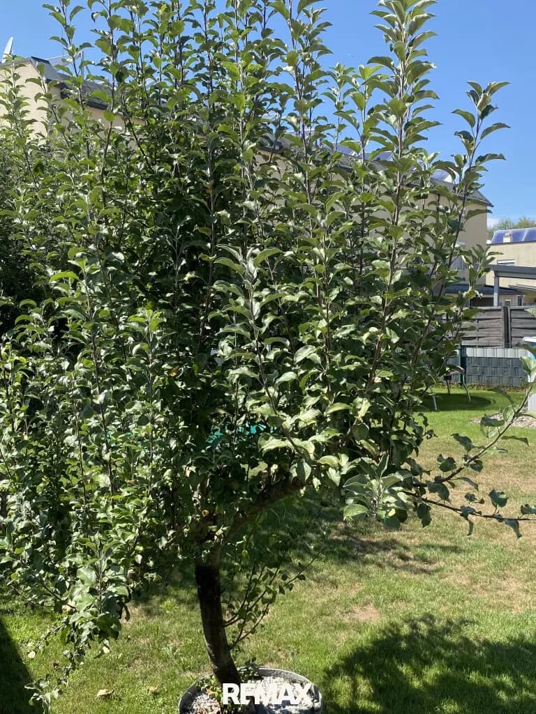 4-Zimmer-Haus kaufen in Klagenfurt – 100 m², € 469.000 – Bild 9 von 27