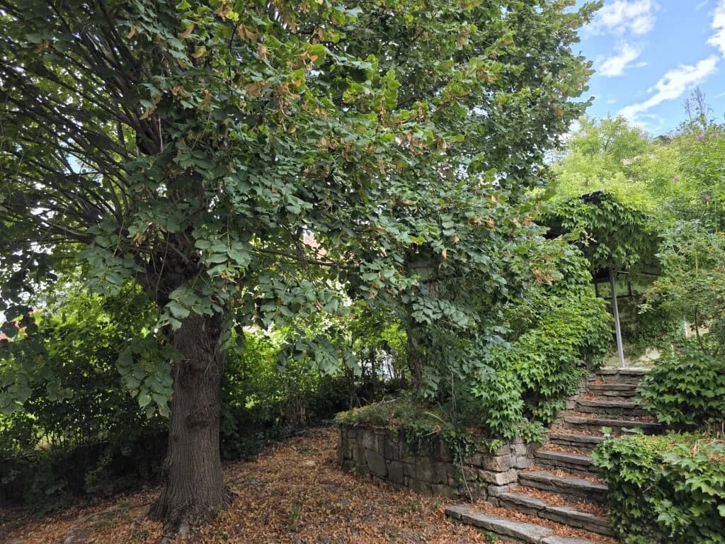 Grundstück kaufen in Korneuburg – 1 875 m², € 890.000 – Bild 5 von 28