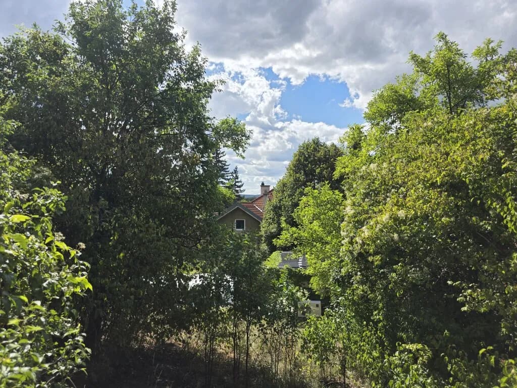 7-Zimmer-Haus kaufen in Korneuburg – 300 m², € 890.000 – Bild 4 von 28
