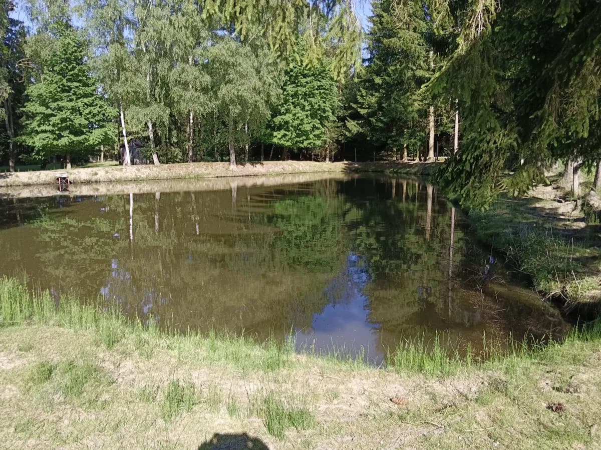 Immobilie kaufen in Zwettl – 5 000 m², € 99.999