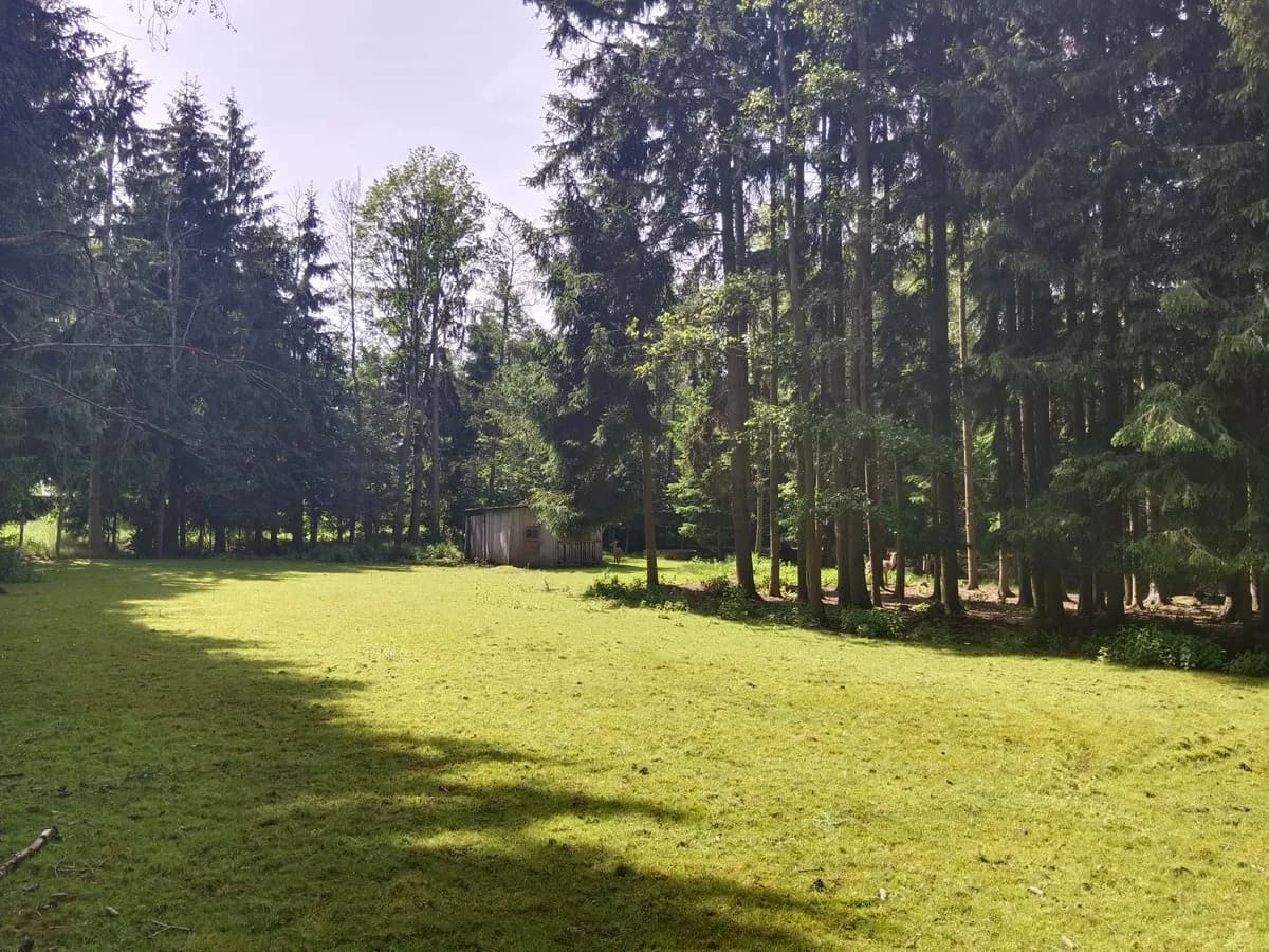 Immobilie kaufen in Zwettl – 5 000 m², € 99.999 – Bild 3 von 17
